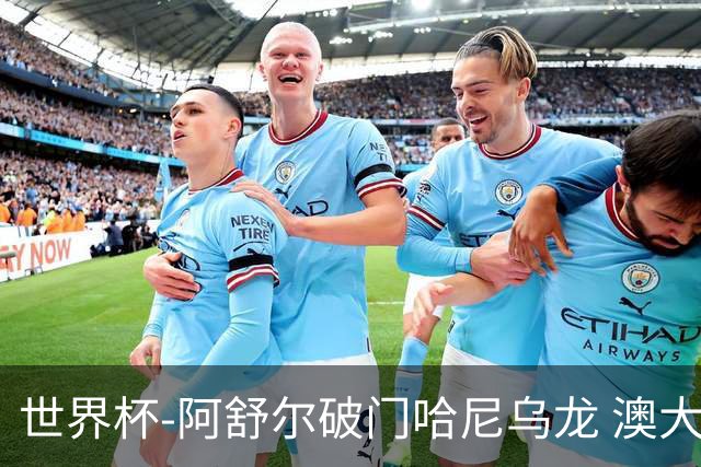 世界杯-阿舒尔破门哈尼乌龙 澳大利亚1-1埃及进加时